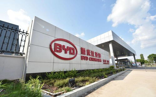 走進(jìn)弗迪電池重慶工廠 解密比亞迪刀片電池與重慶軟件開發(fā)的雙重驅(qū)動